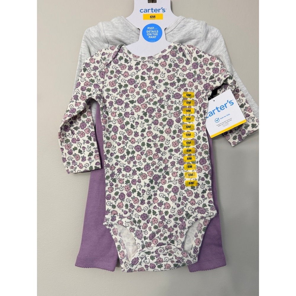 Carter's 3pc Bodysuit & Pants Set Baby Girl 6M Purple Floral Heather Gray NWT